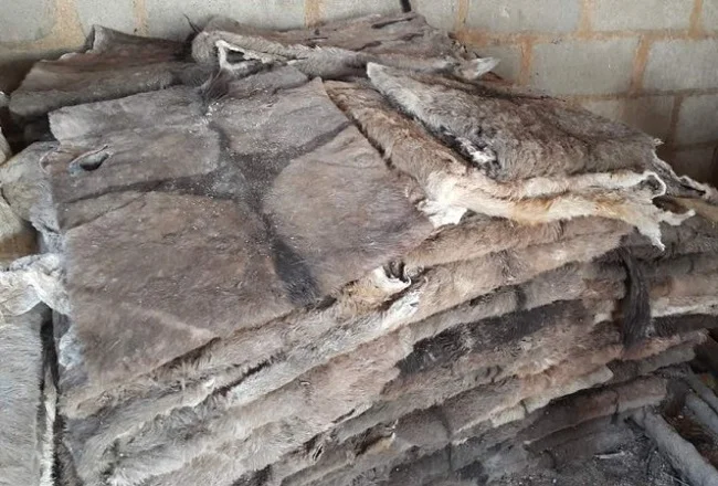 Donkey skin