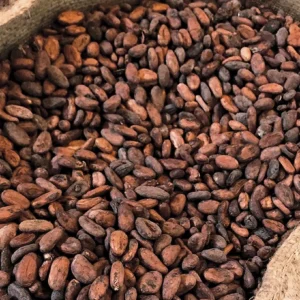 Cocoa beans