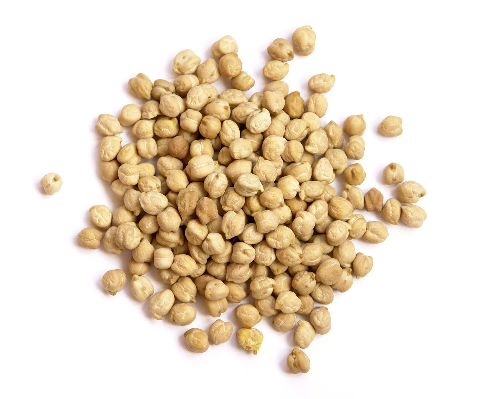 Chickpea
